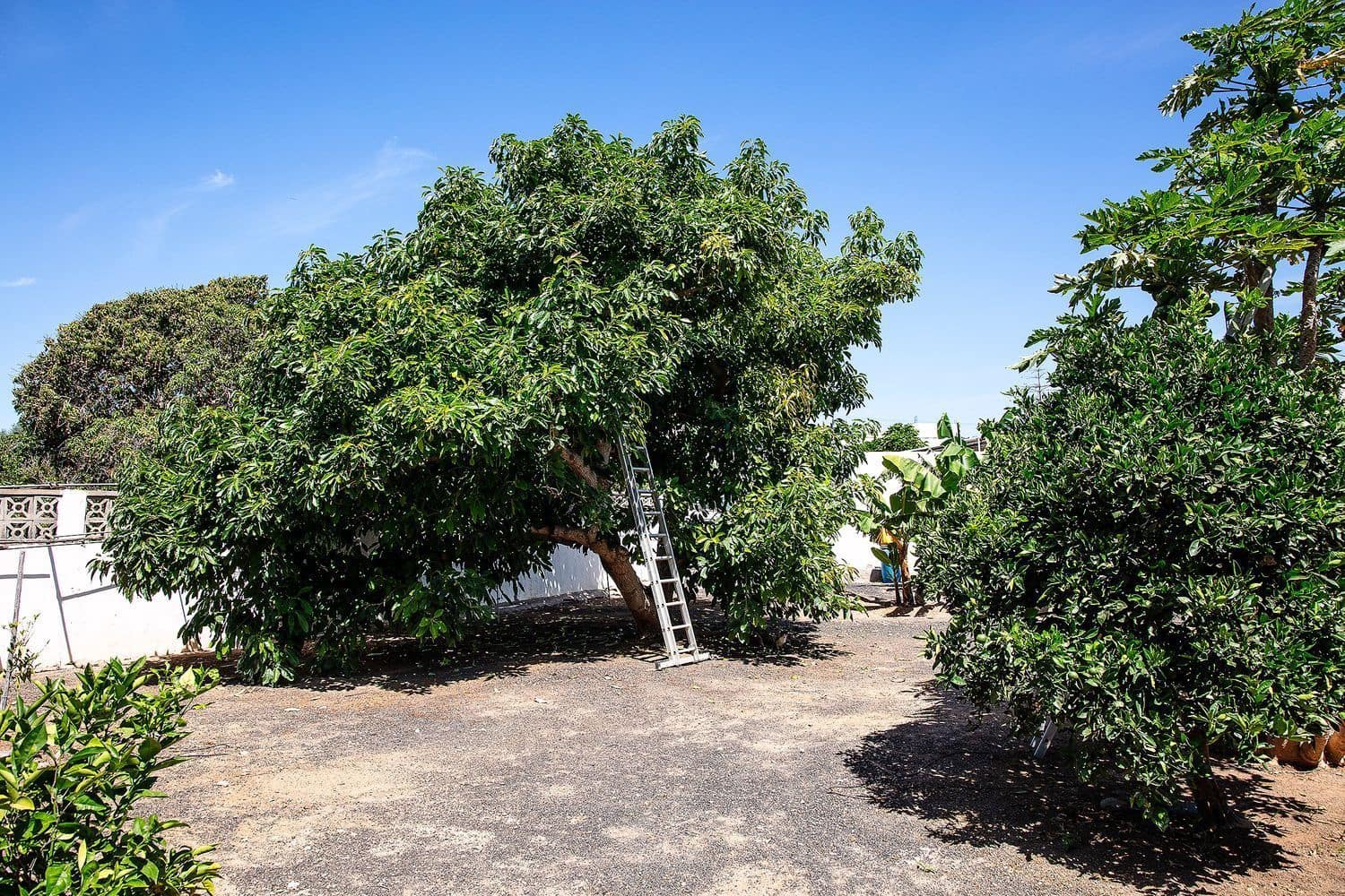 4 camera da letto Villa in vendita in El Salobre con piscina garage - 990.000 € (Rif: 9001705)