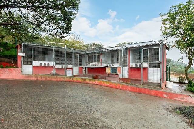 4 slaapkamer Villa te koop in Teror met garage - € 530.000 (Ref: 9001716)