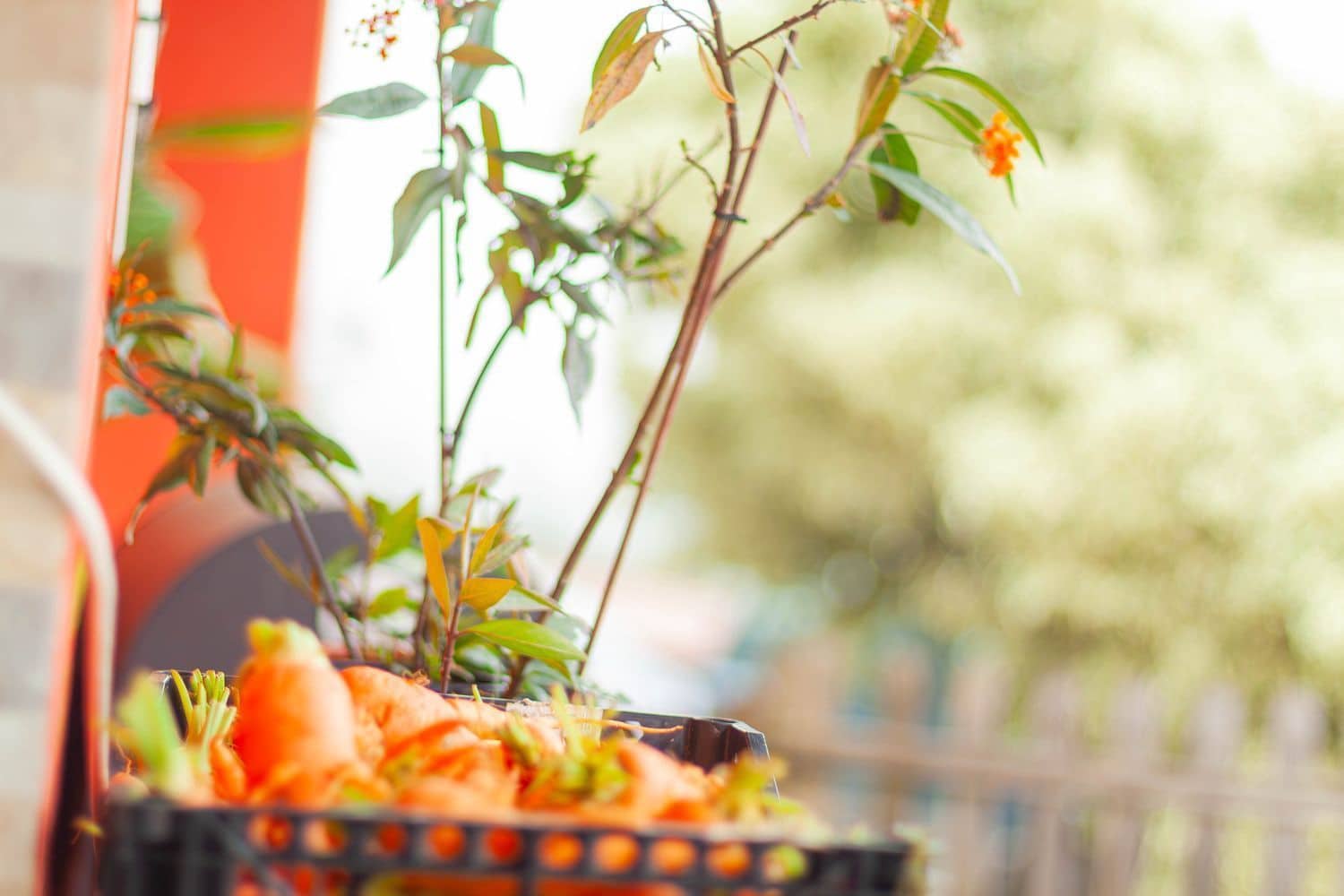 4 soveværelse Villa til salg i Teror med garage - € 530.000 (Ref: 9001716)