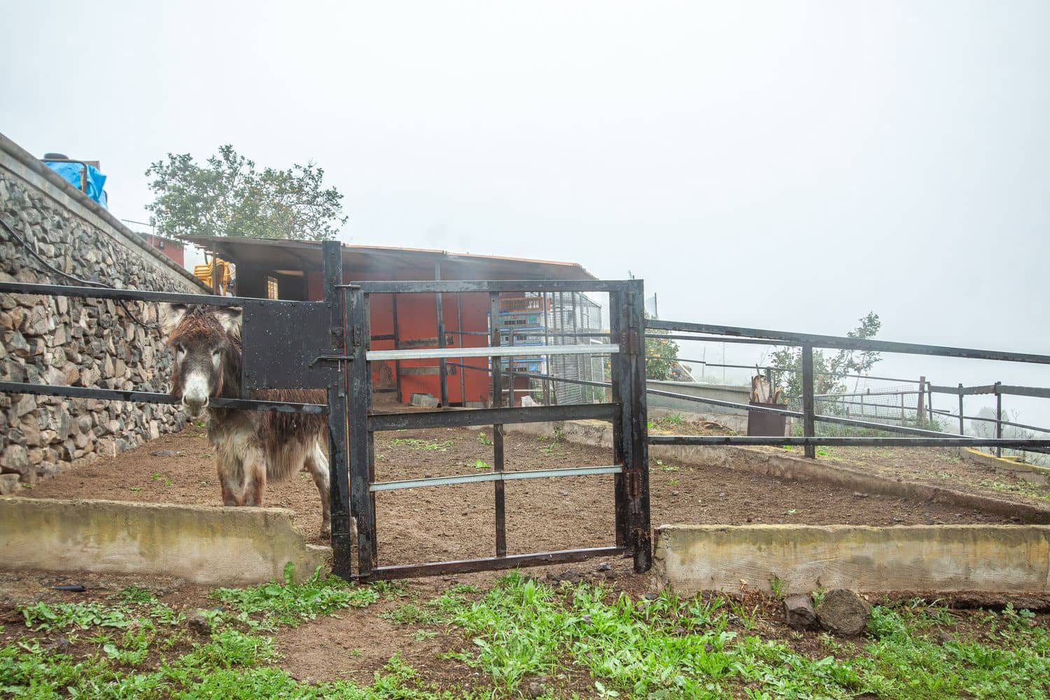 4 soveværelse Villa til salg i Teror med garage - € 530.000 (Ref: 9001716)