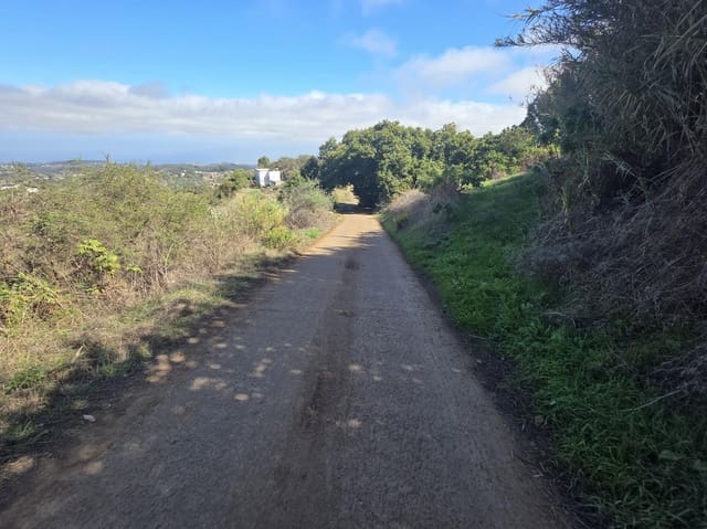 Grunde uden byggetilladelser til salg i Moya - € 126.000 (Ref: 9308544)