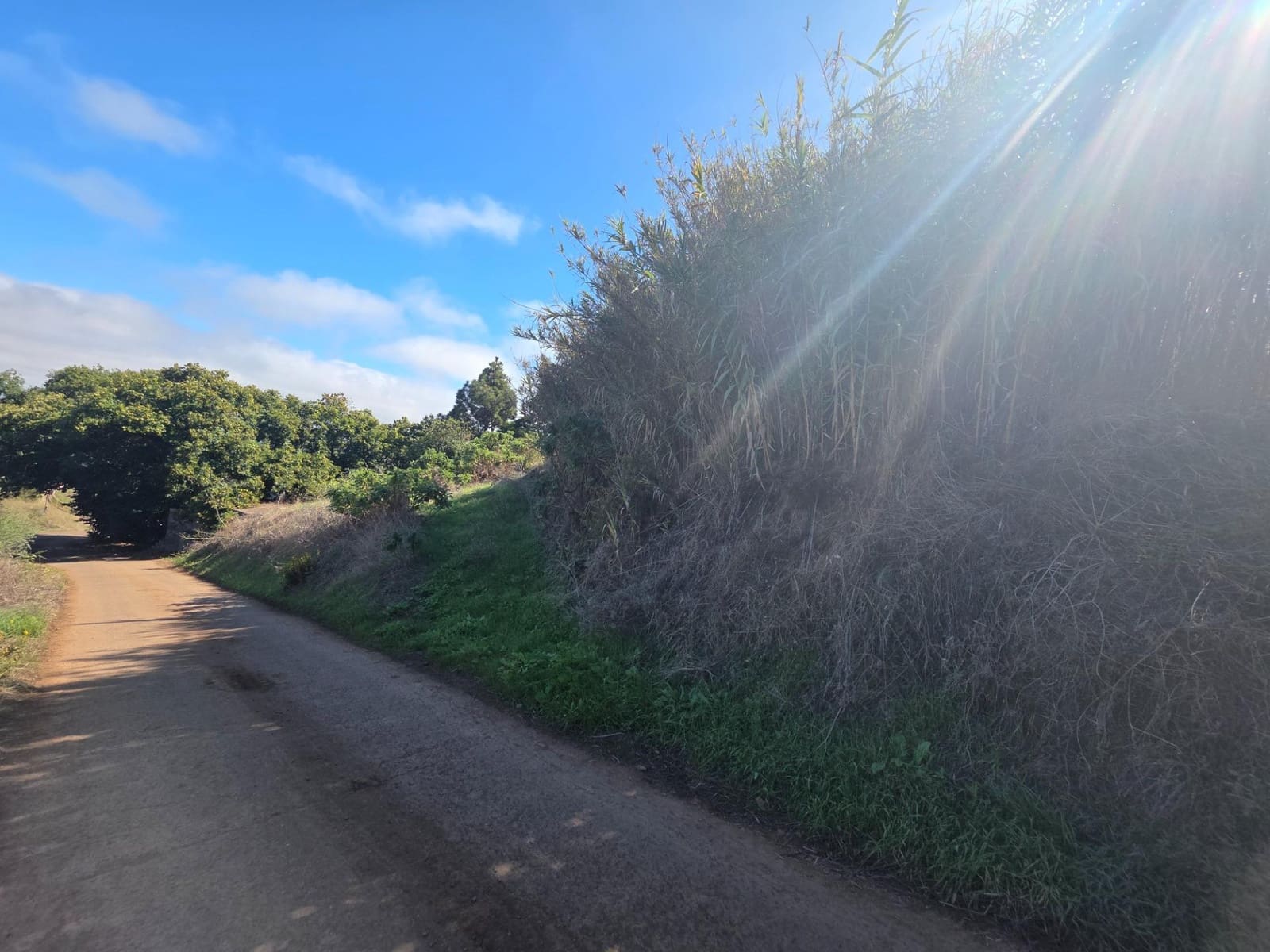 Ubebygd land til salgs i Moya - € 126 000 (Ref: 9308544)