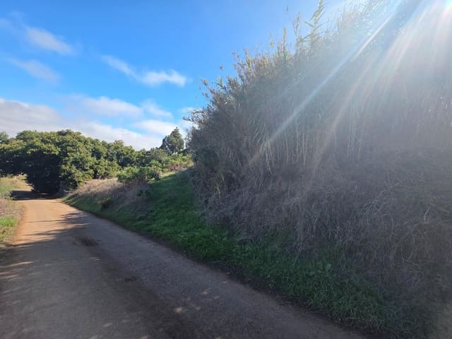 Grunde uden byggetilladelser til salg i Moya - € 126.000 (Ref: 9308544)