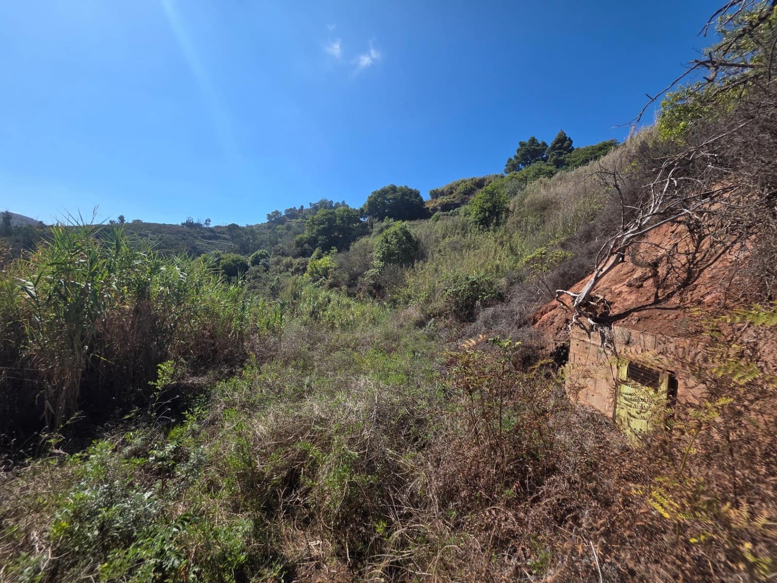 Ubebygd land til salgs i Moya - € 126 000 (Ref: 9308544)