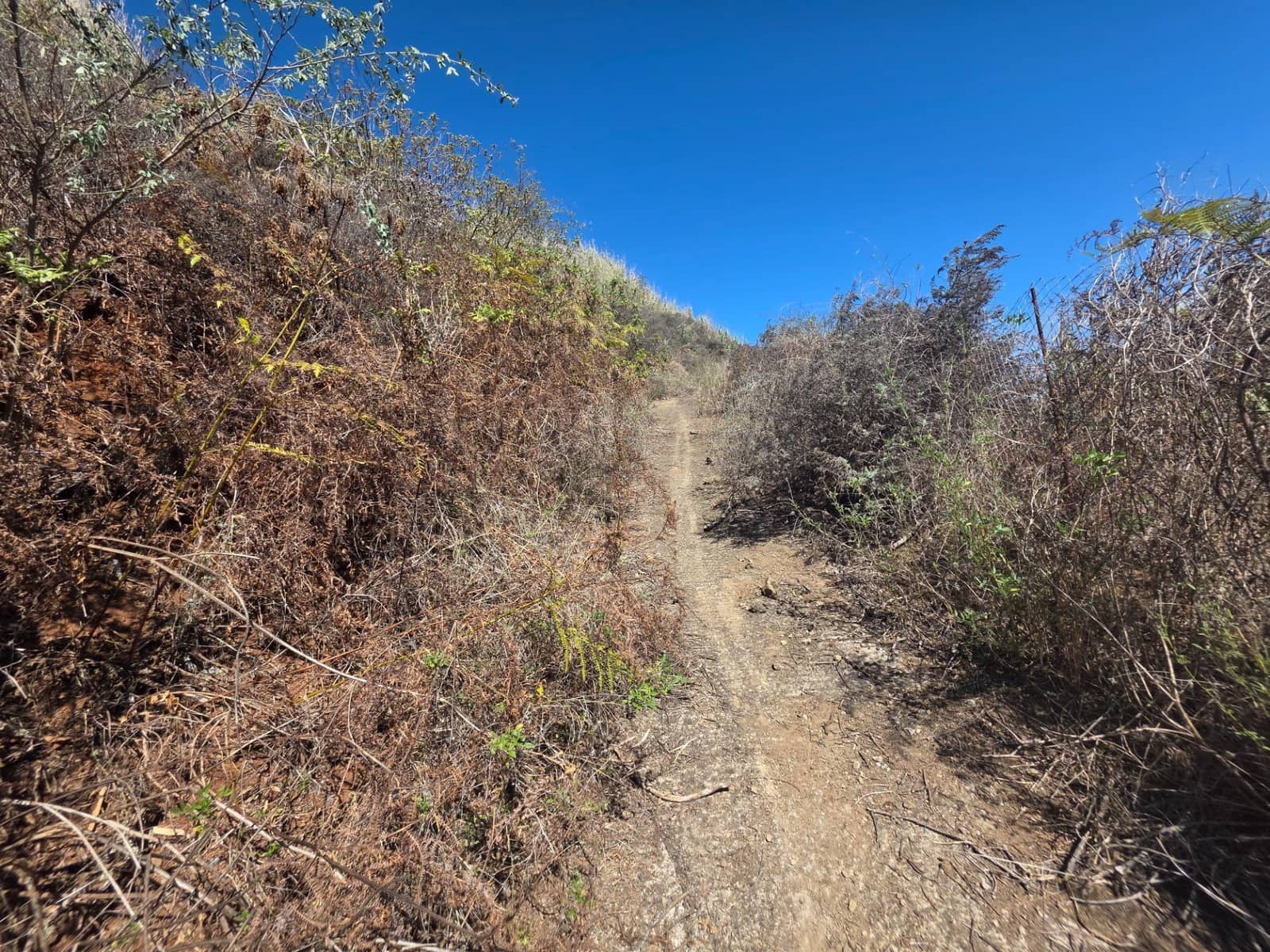 Ubebygd land til salgs i Moya - € 126 000 (Ref: 9308544)