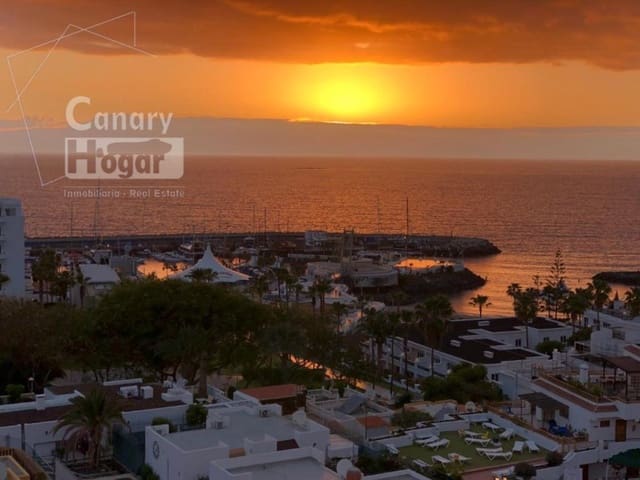 Studio til salg i San Eugenio Bajo, Adeje med swimmingpool - € 230.000 (Ref: 10075506)