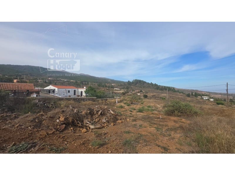 Teren niezagospodarowany na sprzedaż w Cruz de Tea - 99 437 € (Ref: 10161253)