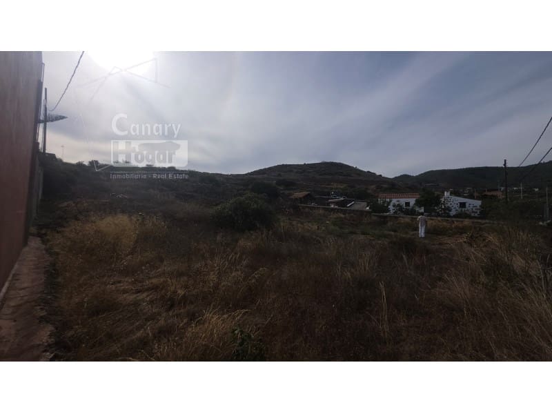 Teren niezagospodarowany na sprzedaż w Cruz de Tea - 99 437 € (Ref: 10161253)