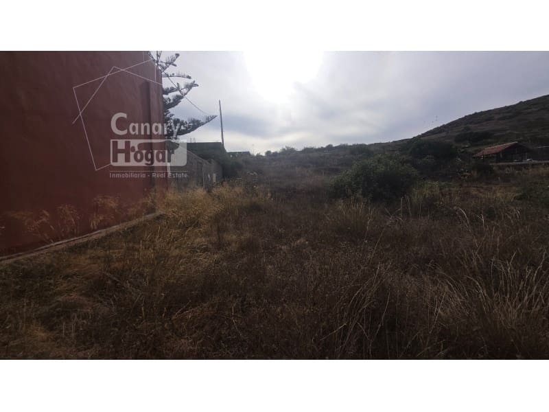 Teren niezagospodarowany na sprzedaż w Cruz de Tea - 99 437 € (Ref: 10161253)