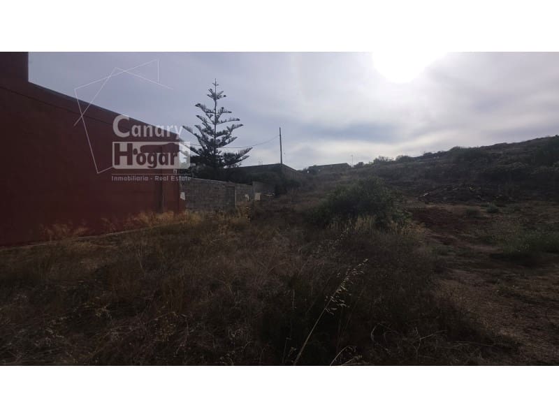 Teren niezagospodarowany na sprzedaż w Cruz de Tea - 99 437 € (Ref: 10161253)