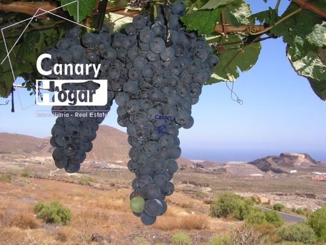 4 bedroom Finca/Country House for sale in Aldea Blanca (Tenerife), San Miguel de Abona with pool garage - € 600,000 (Ref: 9081564)