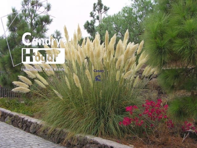 4 bedroom Finca/Country House for sale in Aldea Blanca (Tenerife), San Miguel de Abona with pool garage - € 600,000 (Ref: 9081564)