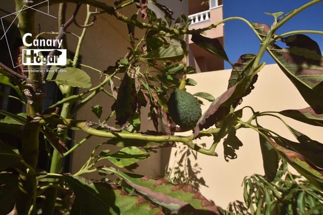 2 makuuhuone Rivitalo vuokrattavana paikassa El Medano, Granadilla de Abona mukana uima-altaan - 1 700 € (Ref: 9359690)