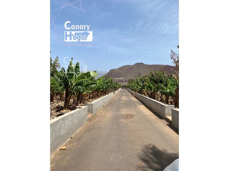 5 bedroom Finca/Country House for sale in Guaza with pool garage - € 1,600,000 (Ref: 9834170)