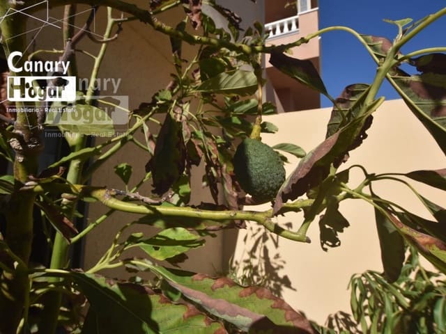 2 makuuhuone Omakotitalo vuokrattavana paikassa El Medano, Granadilla de Abona mukana uima-altaan - 1 700 € (Ref: 9839343)