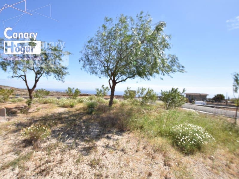 3 Zimmer Finca/Landgut zu verkaufen in Los Blanquitos mit Garage - 449.000 € (Ref: 9840329)