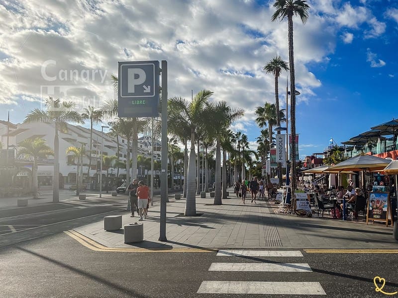 Comercial para arrendar em Playa de las Americas - 4 000 € (Ref: 9927073)