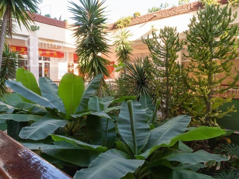 Studio zu verkaufen in Playa de las Americas - 275.000 € (Ref: 9936096)