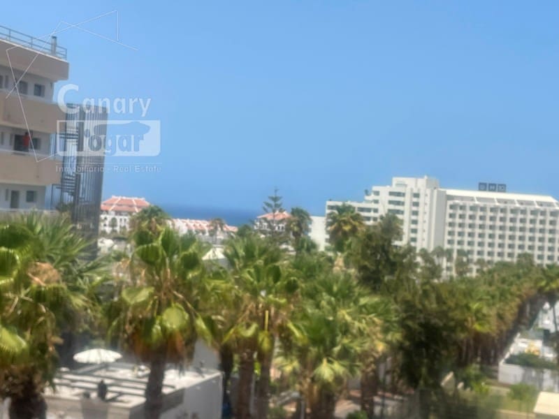 Estúdio para venda em Playa de las Americas - 275 000 € (Ref: 9936096)