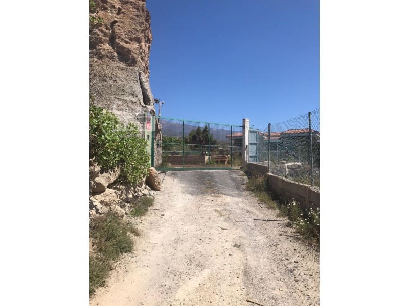 6 slaapkamer Finca/Landhuis te koop in Los Blanquitos met zwembad garage - € 550.000 (Ref: 9967569)