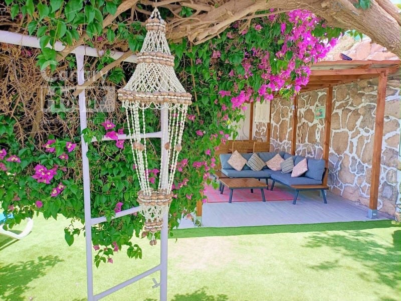 6 slaapkamer Finca/Landhuis te koop in Los Blanquitos met zwembad garage - € 550.000 (Ref: 9967569)