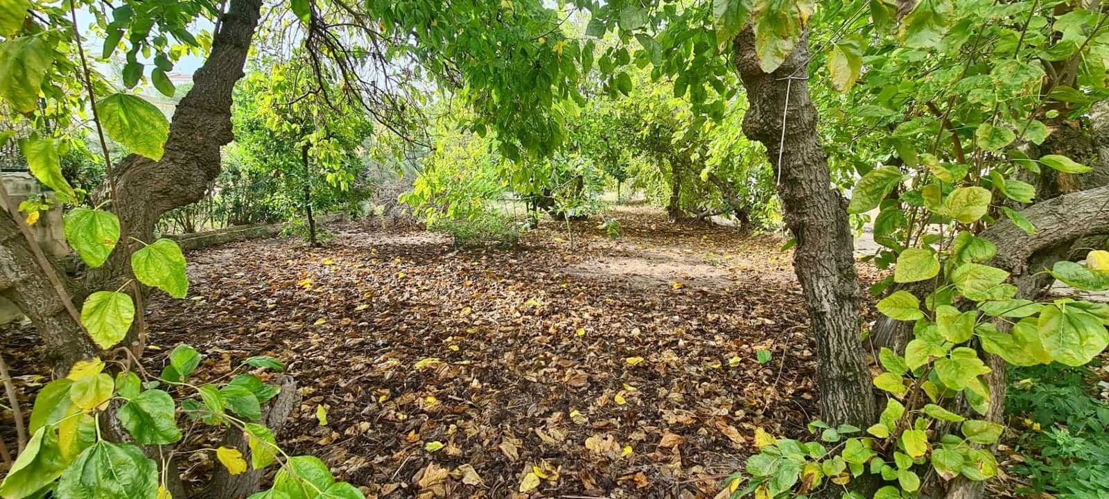 6 sovrum Villa till salu i Denia med garage - 800 000 € (Ref: 7967061)