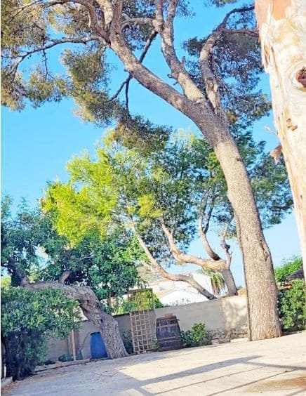 2 sypialnia Willa na sprzedaż w La Xara z garażem - 330 000 € (Ref: 8539517)