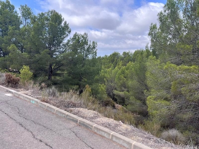 Terreno Não Urbanizado para venda em Altea - 145 000 € (Ref: 8584044)