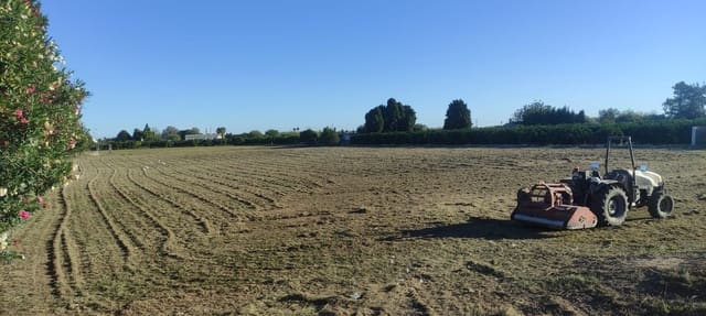 Undeveloped Land for sale in Oliva - € 350,000 (Ref: 8584047)