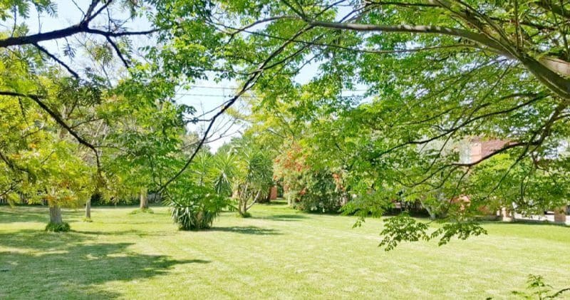 4 soverom Finca/Herregård til salgs i Ondara med svømmebasseng garasje - € 779 000 (Ref: 8805847)