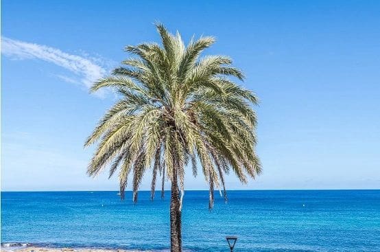 Chalet de 6 habitaciones en Javea / Xàbia en venta con piscina garaje - 3.500.000 € (Ref: 8805848)