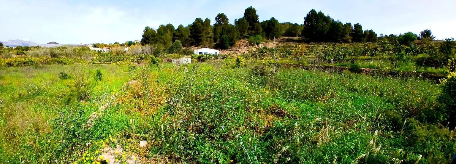 1 quarto Moradia para venda em Callosa d'En Sarria com garagem - 157 000 € (Ref: 8873975)