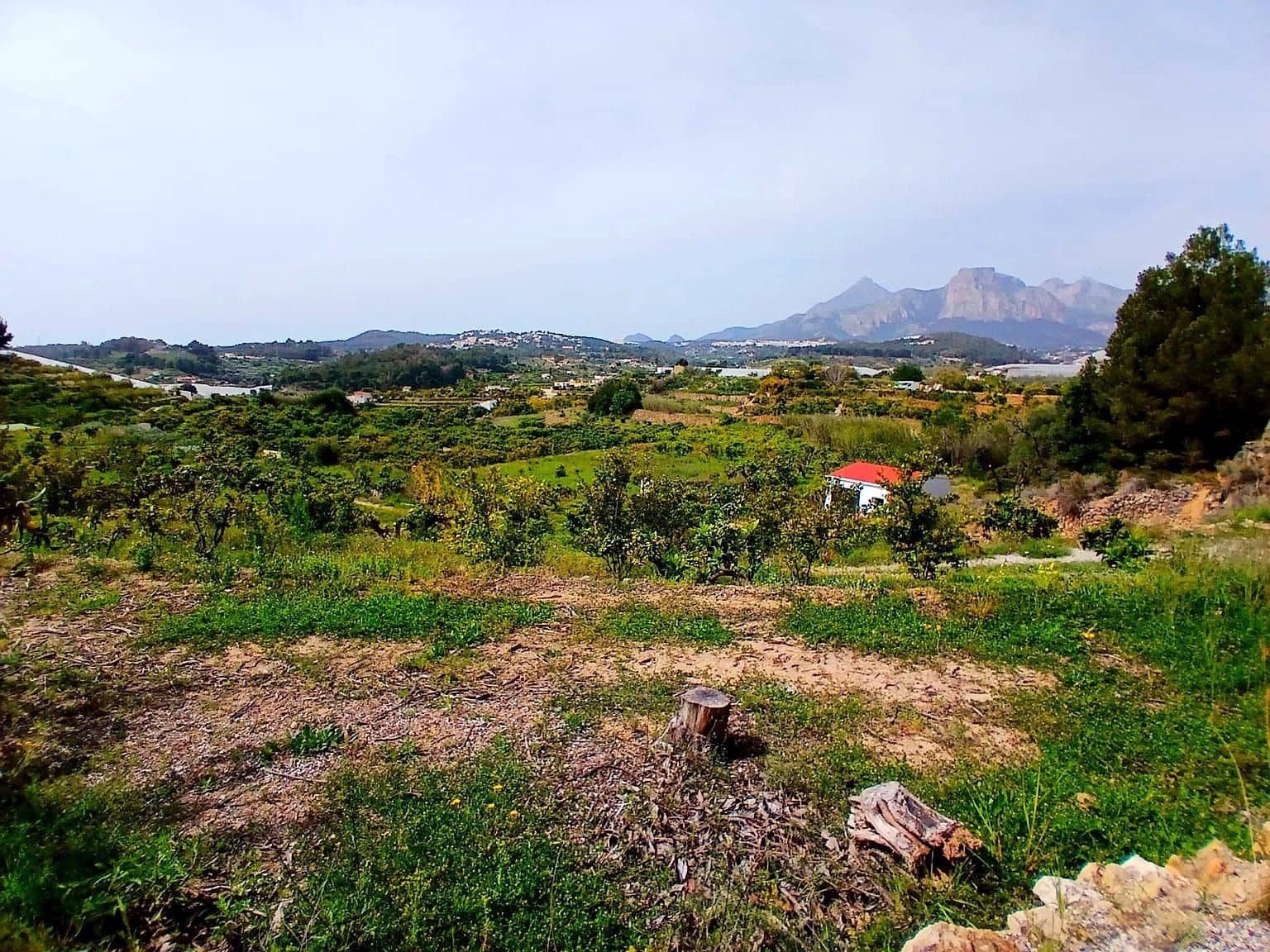 1 quarto Moradia para venda em Callosa d'En Sarria com garagem - 157 000 € (Ref: 8873975)