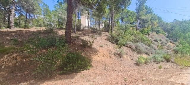 Undeveloped Land for sale in Altea - € 300,000 (Ref: 8873981)