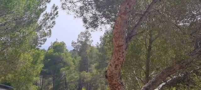 Undeveloped Land for sale in Altea - € 300,000 (Ref: 8873981)