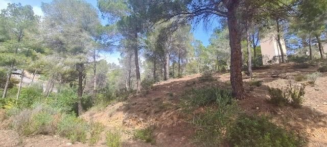 Undeveloped Land for sale in Altea - € 300,000 (Ref: 8873981)