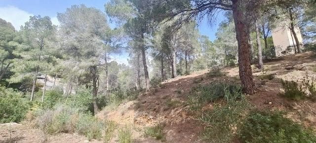 Undeveloped Land for sale in Altea - € 300,000 (Ref: 8873981)