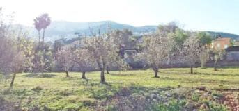 4 slaapkamer Villa te koop in La Pedrera - Vessanes, Dénia met zwembad garage - € 685.000 (Ref: 8896245)