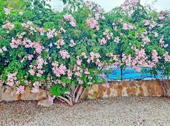 2 soveværelse Semi-Rækkehus til salg i Moraira med swimmingpool garage - € 310.000 (Ref: 8945899)