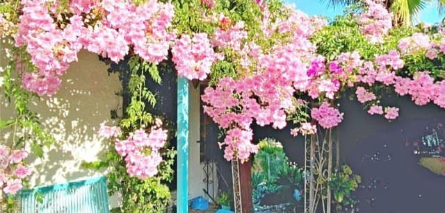 3 sypialnia Willa na sprzedaż w Adsubia, Javea / Xàbia z basenem garażem - 695 000 € (Ref: 8956606)