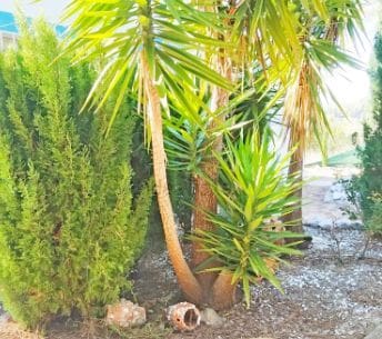 2 soveværelse Finca/Landehus til salg i Parcent med garage - € 330.000 (Ref: 8964193)