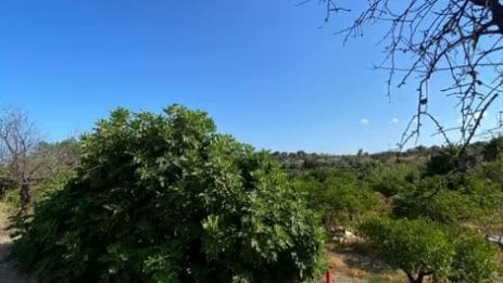 2 chambre Finca/Maison de Campagne à vendre à Altea avec garage - 325 000 € (Ref: 9217005)