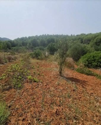 3 soveværelse Finca/Landehus til salg i Jalon / Xalo med garage - € 445.000 (Ref: 9219677)