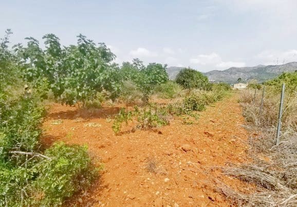 3 soveværelse Finca/Landehus til salg i Jalon / Xalo med garage - € 445.000 (Ref: 9219677)