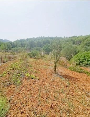 3 soveværelse Finca/Landehus til salg i Jalon / Xalo med garage - € 445.000 (Ref: 9219677)