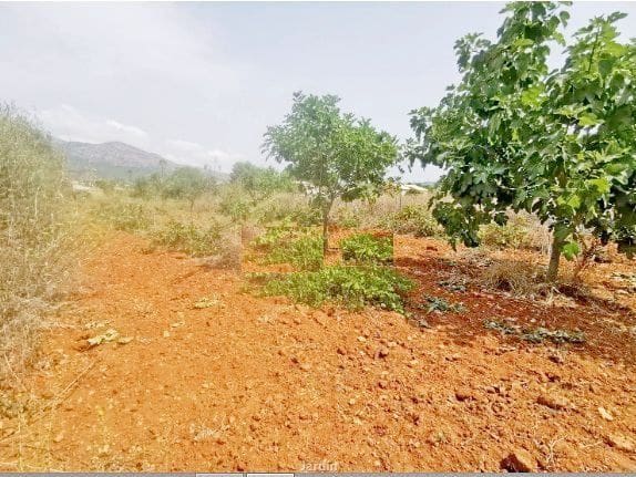 3 soveværelse Finca/Landehus til salg i Jalon / Xalo med garage - € 445.000 (Ref: 9219677)