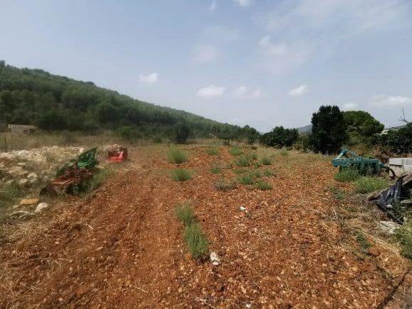 3 soveværelse Finca/Landehus til salg i Jalon / Xalo med garage - € 445.000 (Ref: 9219677)