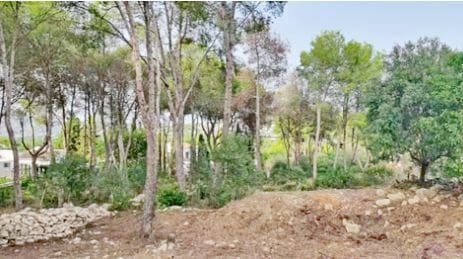 Rakentamaton maa myytävänä paikassa Javea / Xabia - 2 800 000 € (Ref: 9254658)