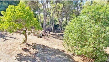 Rakentamaton maa myytävänä paikassa Javea / Xabia - 2 800 000 € (Ref: 9254658)