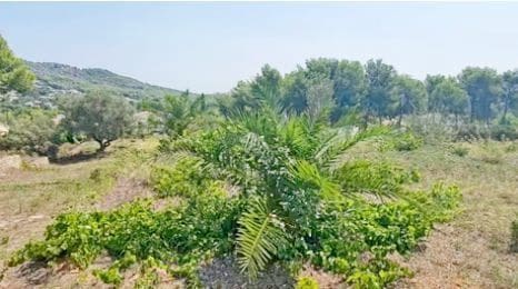 Rakentamaton maa myytävänä paikassa Javea / Xabia - 2 800 000 € (Ref: 9254658)